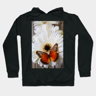 Brown Butterfly Resting On White Daisy Hoodie